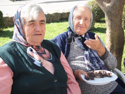 Kestenijada